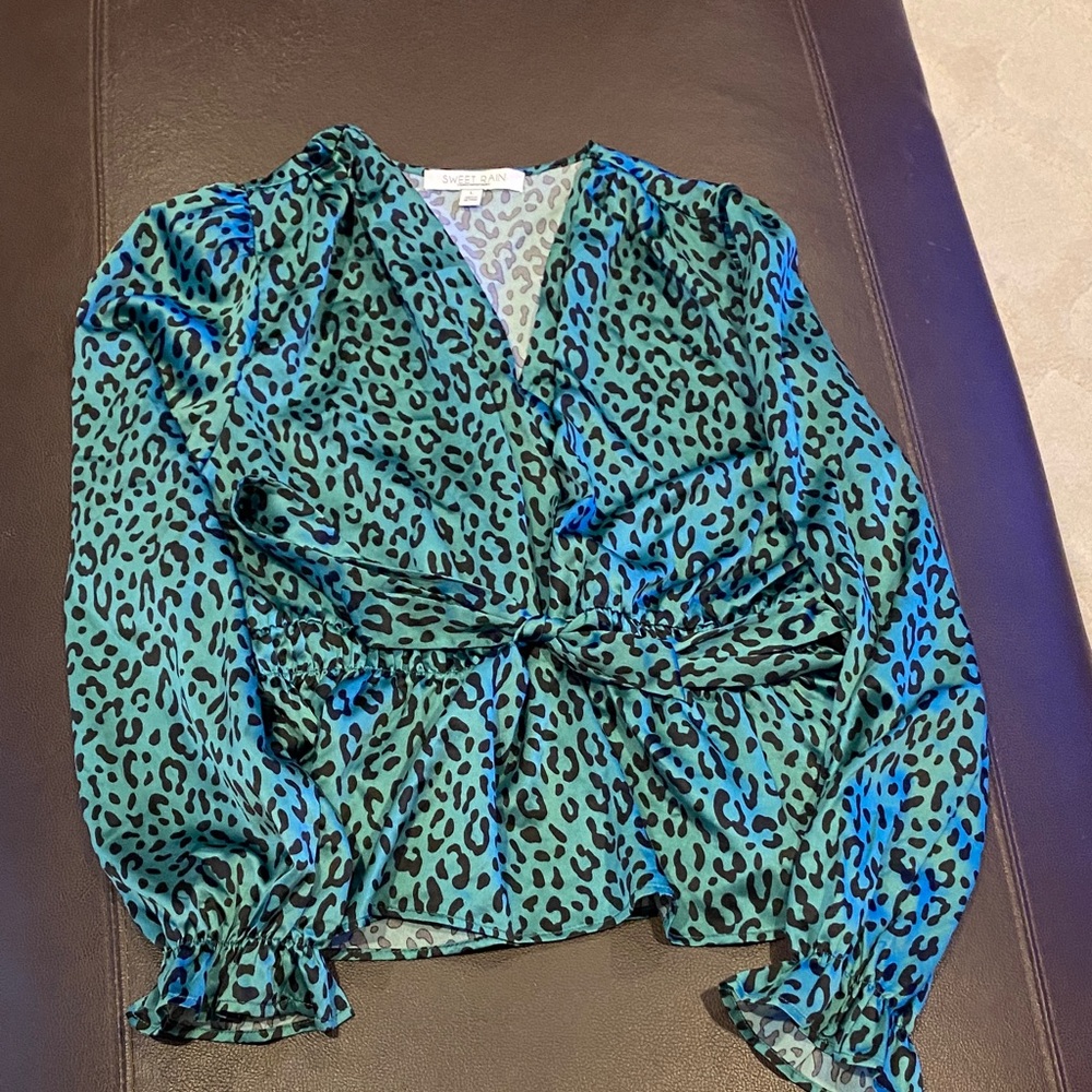 Beautiful green and black blouse.